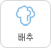 배추